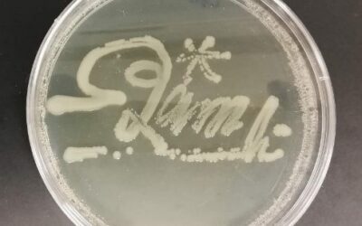 First Autograph Goes to Our First and Fast Friends-Bacteria