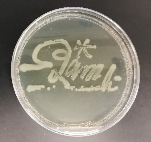 First Autograph Goes to Our First and Fast Friends-Bacteria